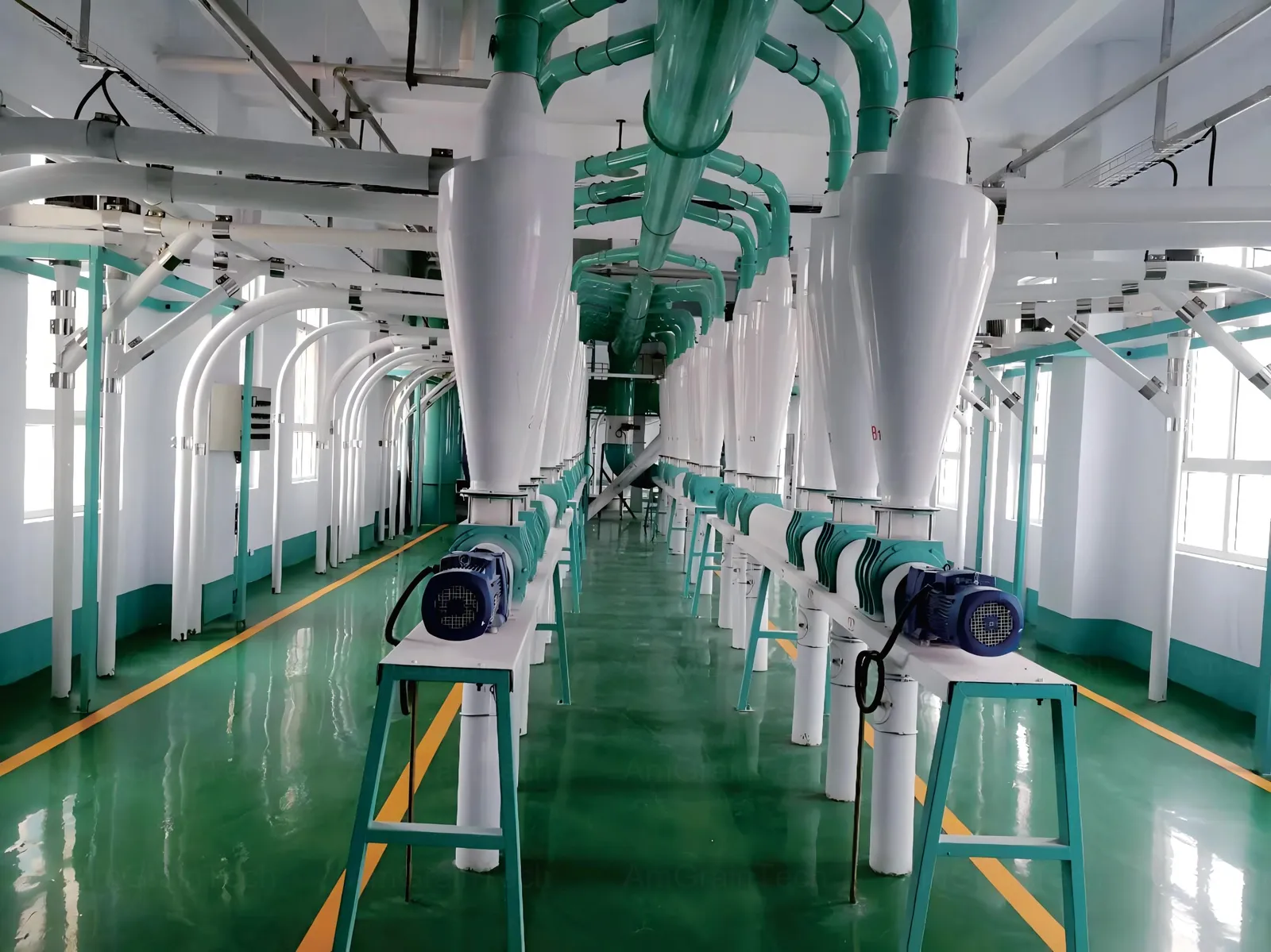 Grain Processing Plant