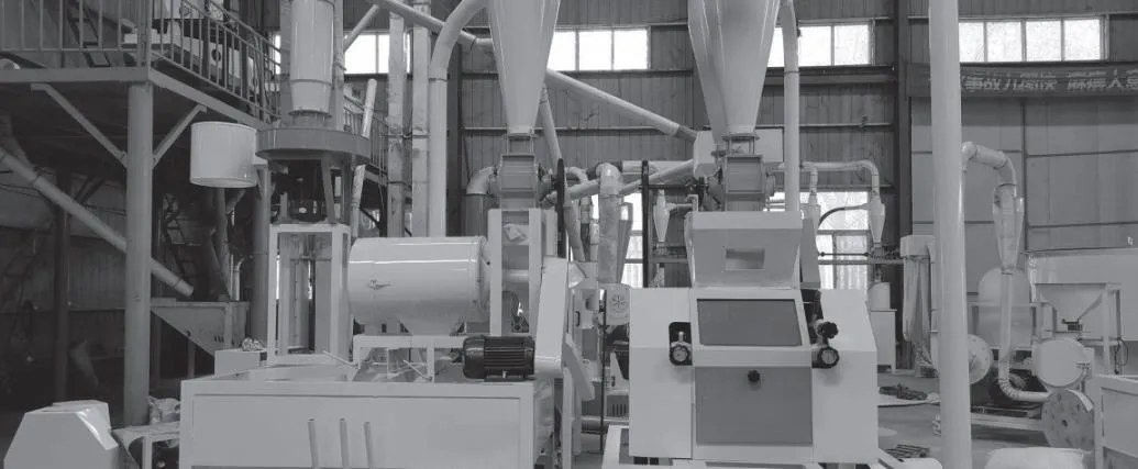 Rice mill line installation view at an AmGrainTech project